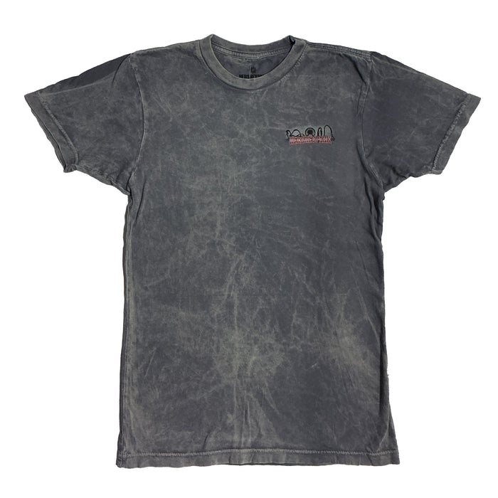 Hersheypark "I Survived" T-Shirt